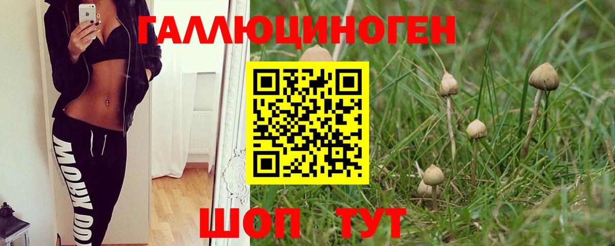 Галлюциногенные грибы мухоморы Переславль-Залесский